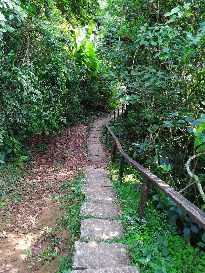 Escada na trilha da Costa da Lagoa