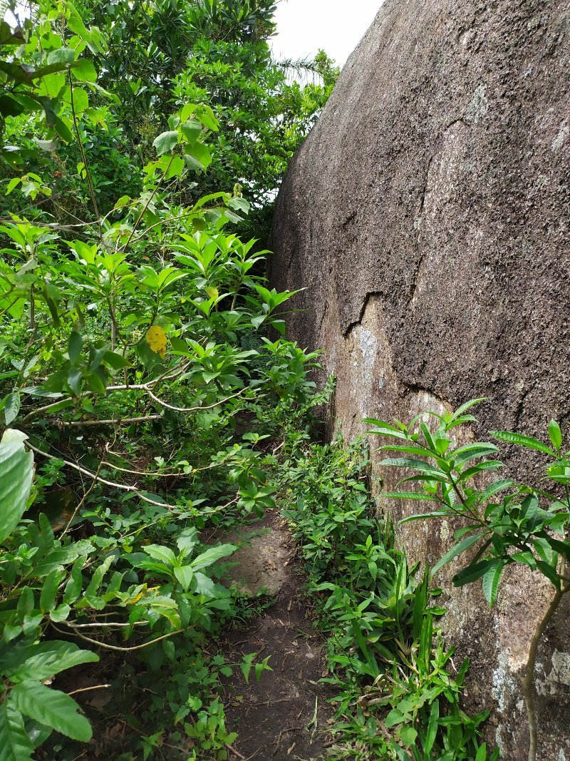 Caminho beira pedra na Trilha da Pedra do Urubu (Gravatá)