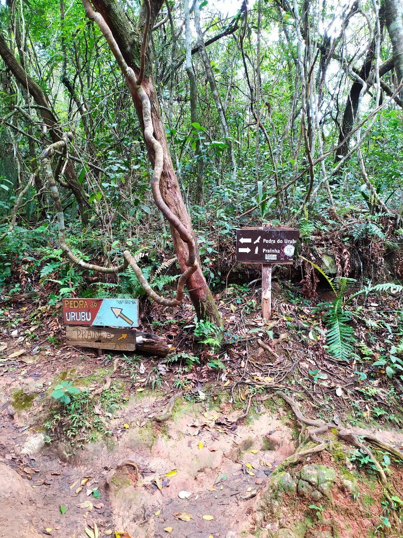 Bifurcação na Trilha da Pedra do Urubu