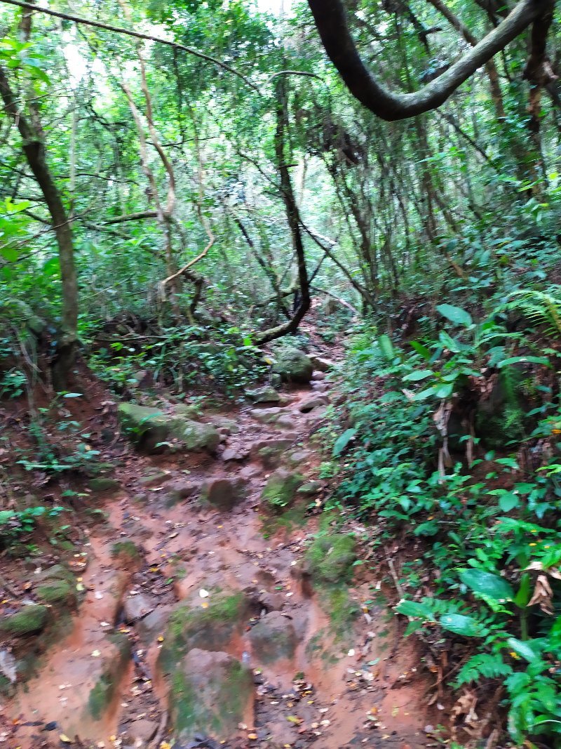 Caminho Inicial da Trilha da Pedra do Urubu