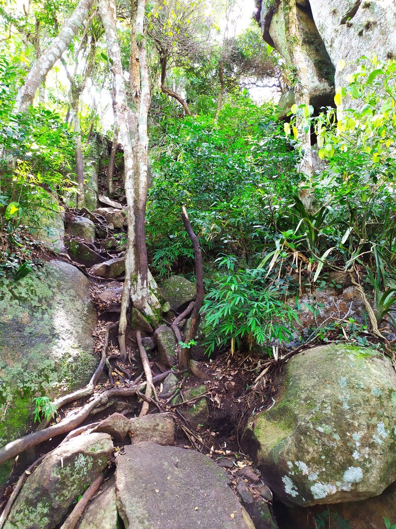 Escalada nas pedras da Trilha da Pedra do Urubu