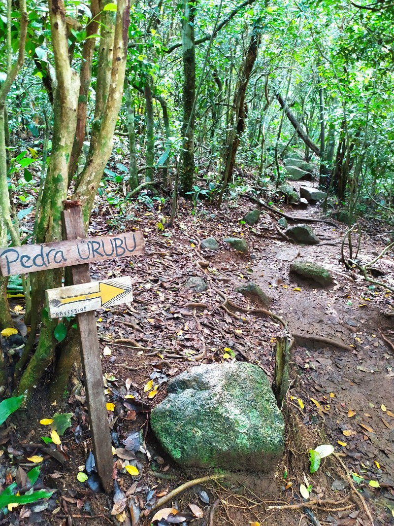 Indicação de caminho da Trilha da Pedra do Urubu