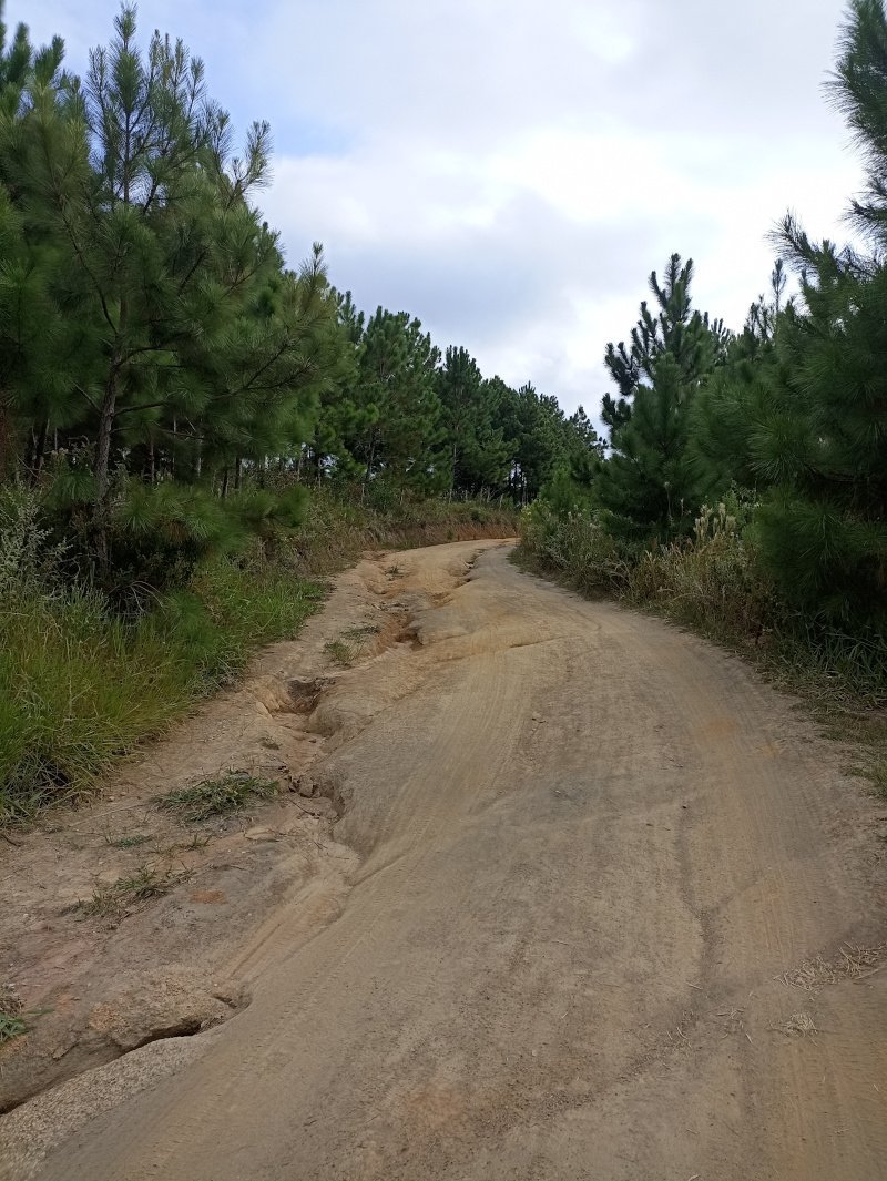 Estrada Chegada - Trilha da Praia das Conchas