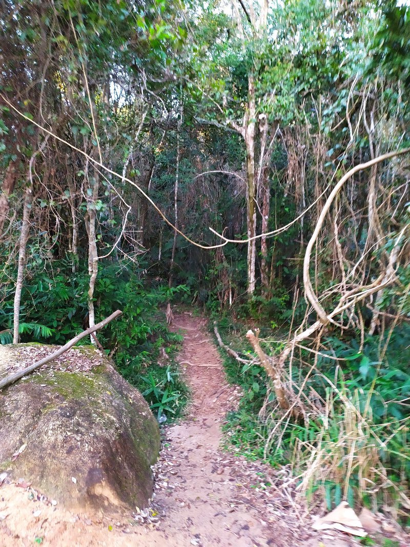 Início da Trilha do Morro do Cambirela