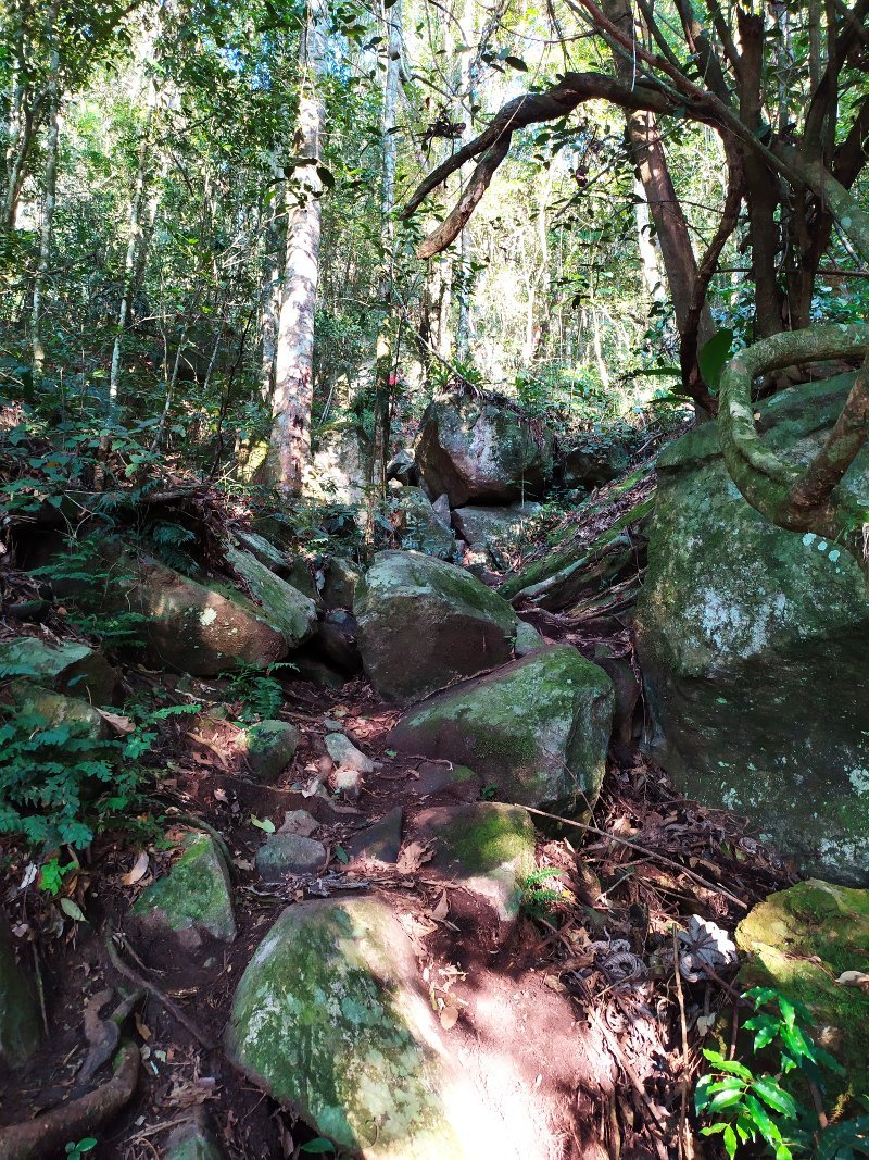 Subida de pedras na Trilha do Morro do Cambirela