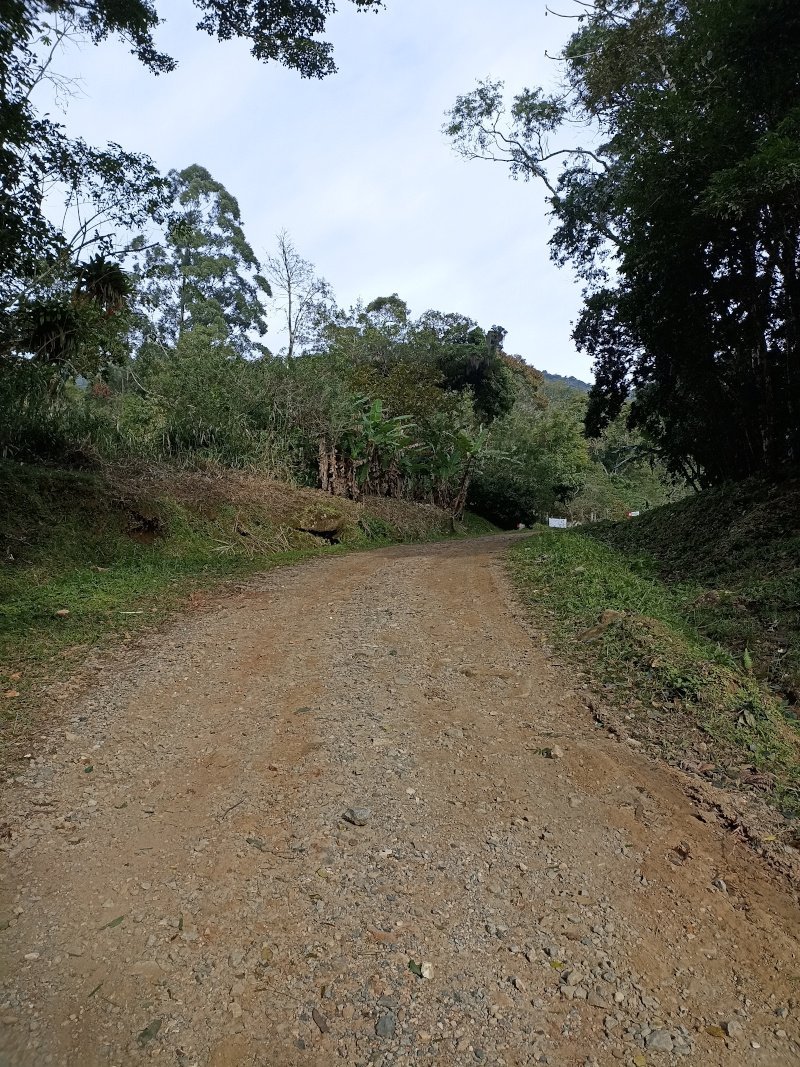 Estrada chão - Trilha do Pico da Pedra