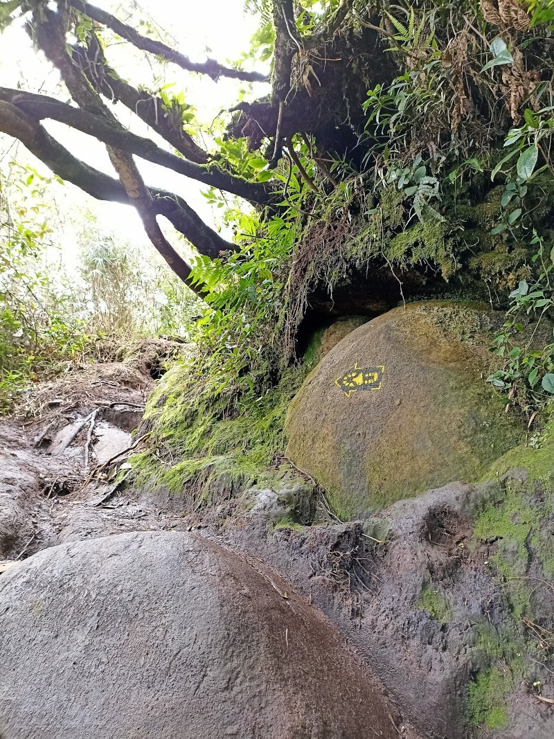 Pintura sinalização nas rochas - Trilha do Pico da Pedra