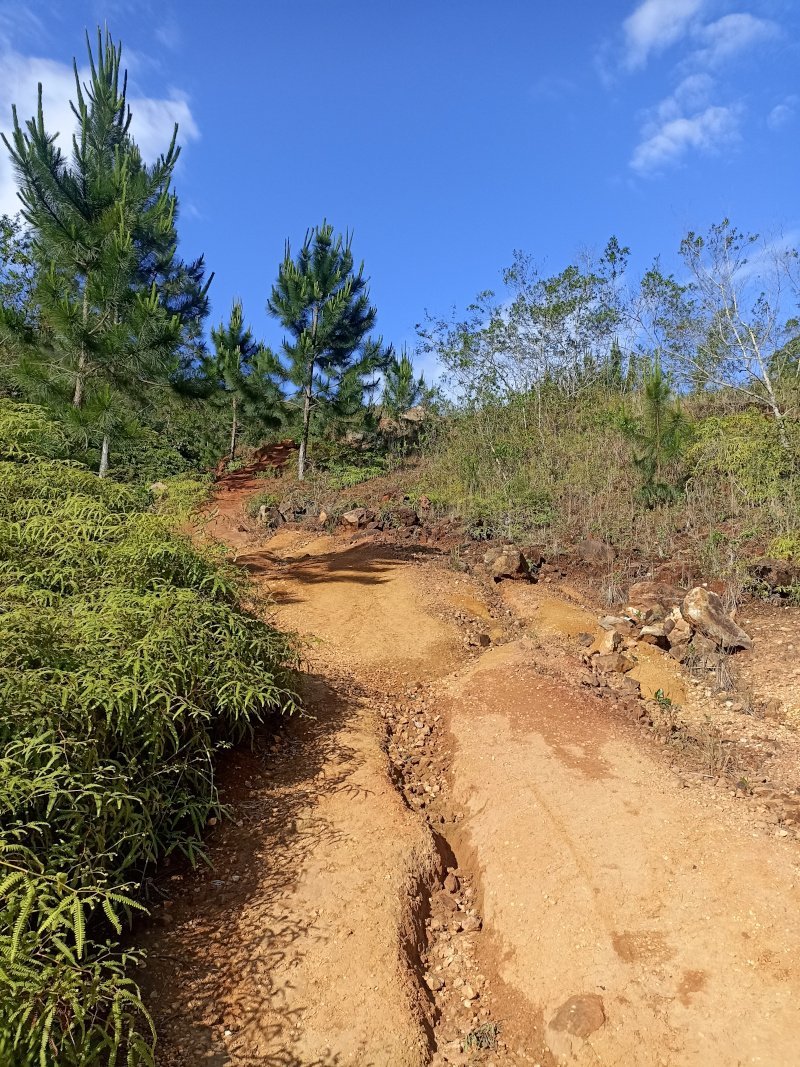 Caminho de terra - Trilha do Pico da Teta