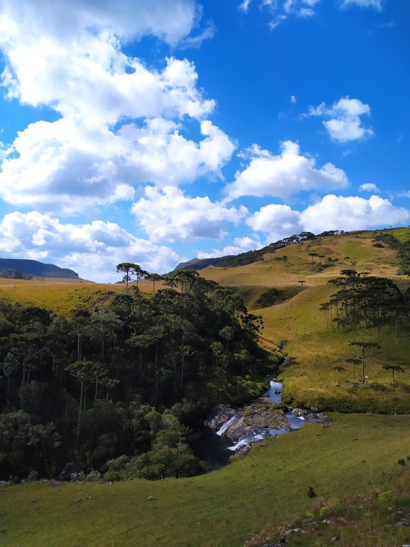 Paisagem com rio e campos
